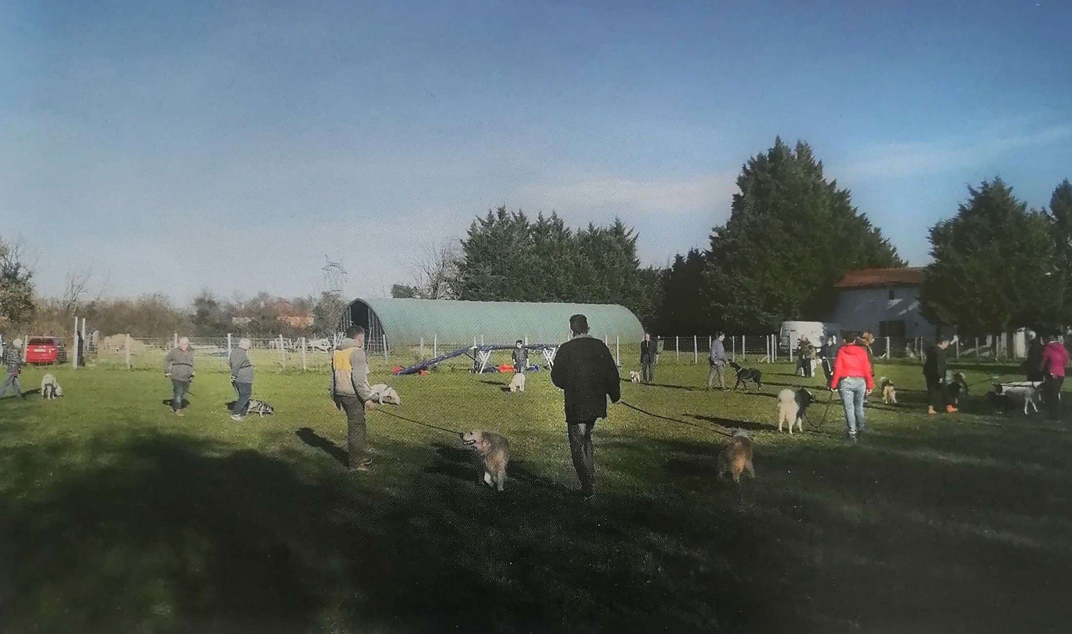 chien laisse
Gestion collier
Mise positive
Conseils Education et rééducation Éducation Le Royaume de Roia SAINT-ANDRE-DE-CORCY