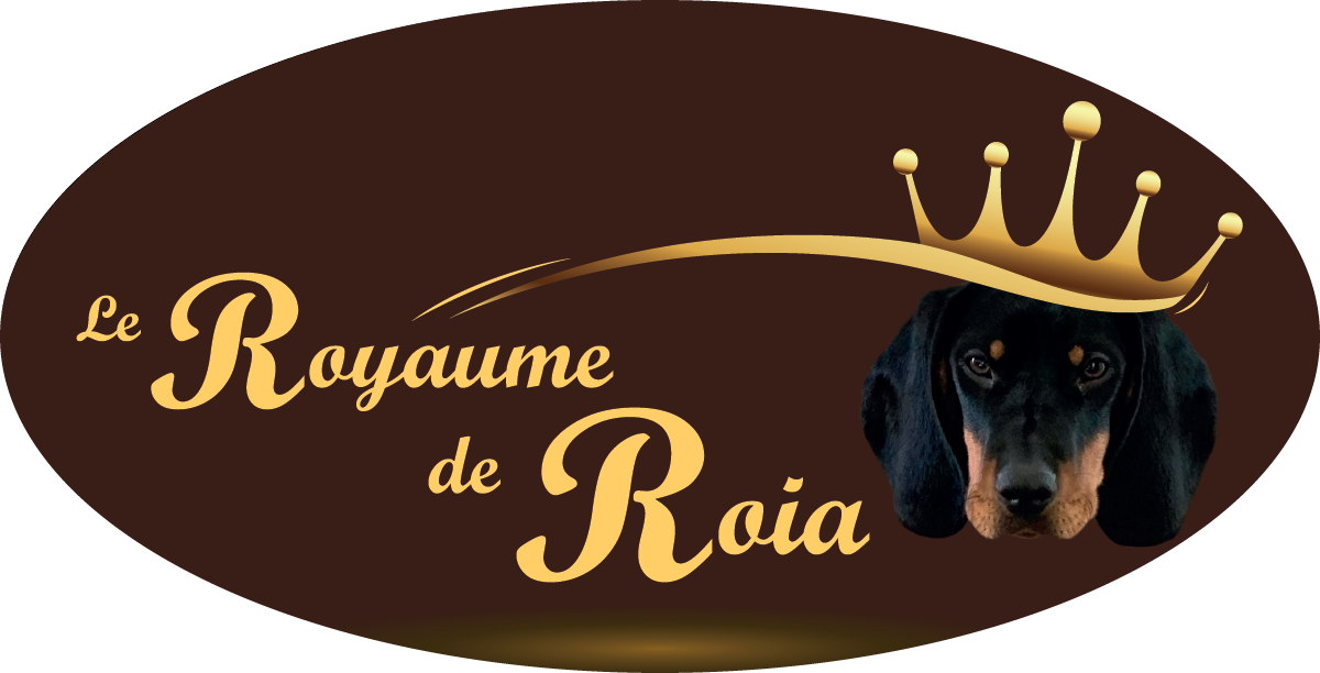 <br />
<b>Warning</b>:  Undefined variable $keyword in <b>/homepages/7/d1001833771/htdocs/entete_template.php</b> on line <b>3</b><br />
